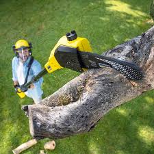 How Our Tree Care Process Works  in  Lake Wynonah, PA